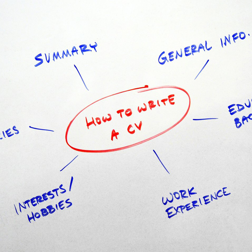 How to write a CV spider diagram