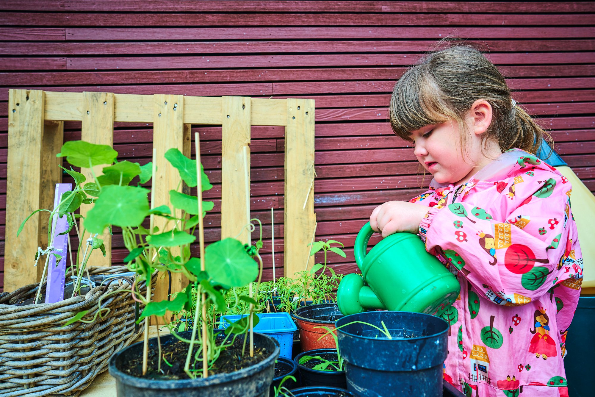 Our Nursery needs your help to win National competition!