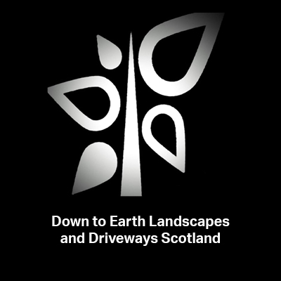 down to earth logo