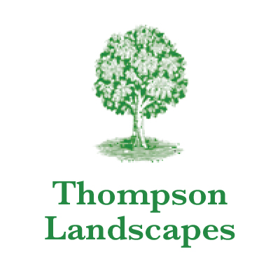 thompson logo