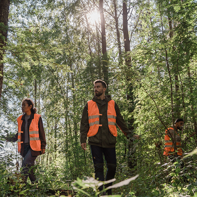 environmental specialists in a forest